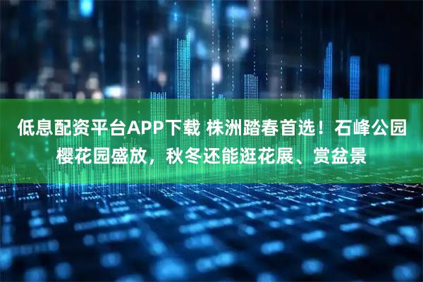 低息配资平台APP下载 株洲踏春首选!石峰公园樱花园盛放,秋冬还能逛花展、赏盆景