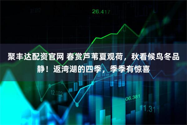 聚丰达配资官网 春赏芦苇夏观荷,秋看候鸟冬品静!返湾湖的四季,季季有惊喜