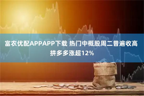 富农优配APPAPP下载 热门中概股周二普遍收高 拼多多涨超12%