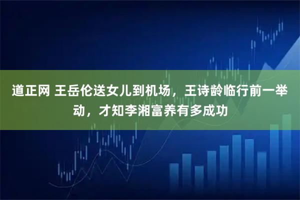 道正网 王岳伦送女儿到机场，王诗龄临行前一举动，才知李湘富养有多成功