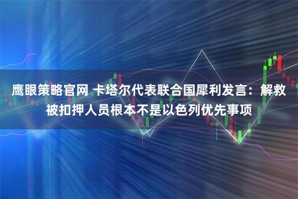 鹰眼策略官网 卡塔尔代表联合国犀利发言：解救被扣押人员根本不是以色列优先事项
