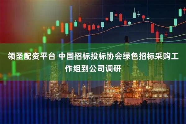 领圣配资平台 中国招标投标协会绿色招标采购工作组到公司调研
